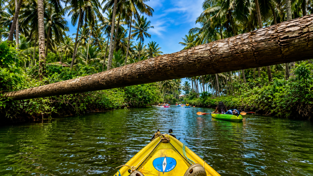 Small canoe travelling through a narrow Alappuzha backwater canal