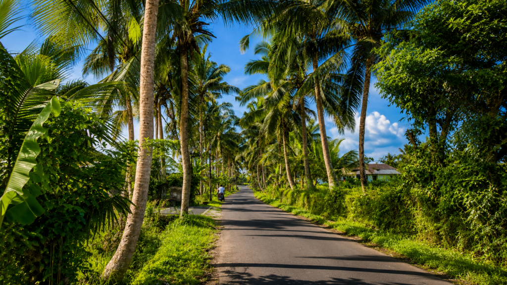 Scenic road through Kerala near Alappuzha