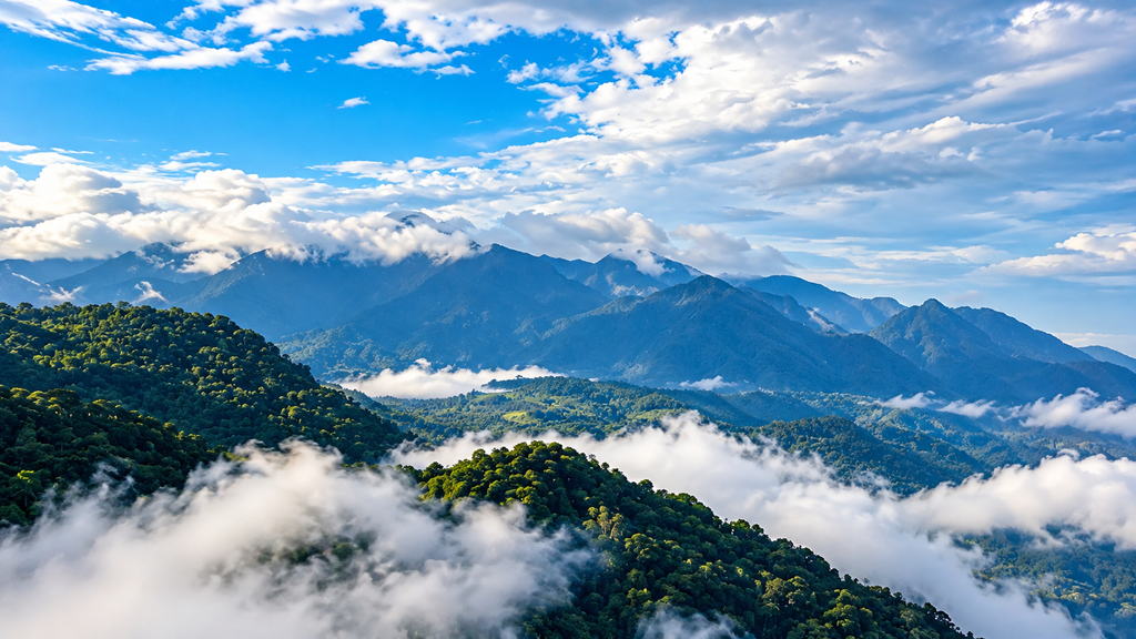 Meesapulimala mountain ridge covered in mist Kerala