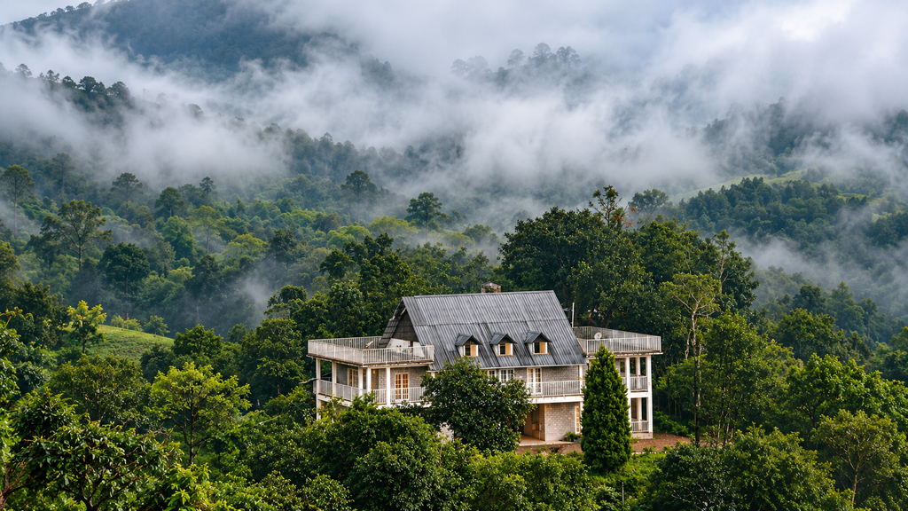 hillside stay surrounded by nature in Vagamon Kerala