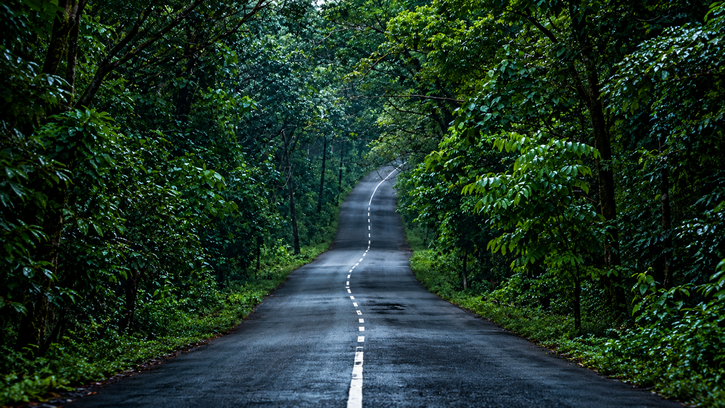 Gavi forest road in Kerala surrounded by green mountains