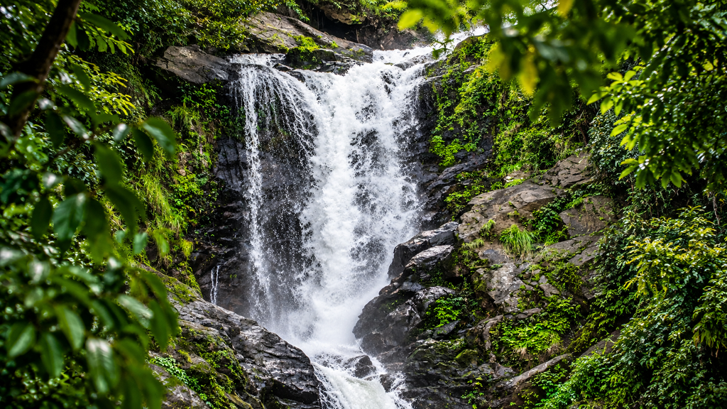 Kanthanpara Waterfalls dropping through the green hills of Wayanad.