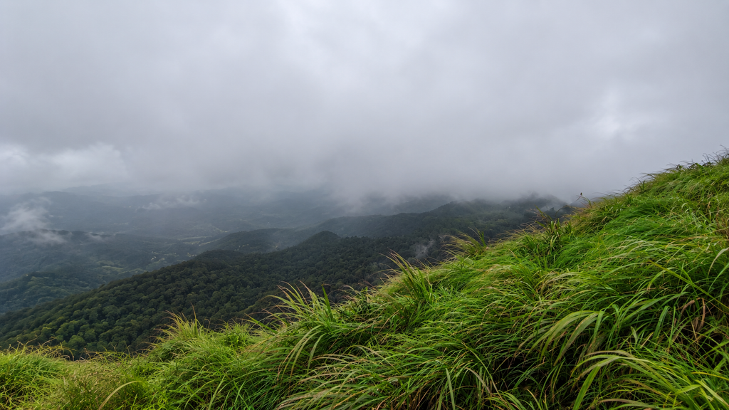 Paithalmala misty hills in Kannur Kerala
