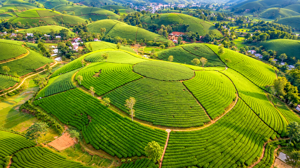 Vagamon Travel Guide