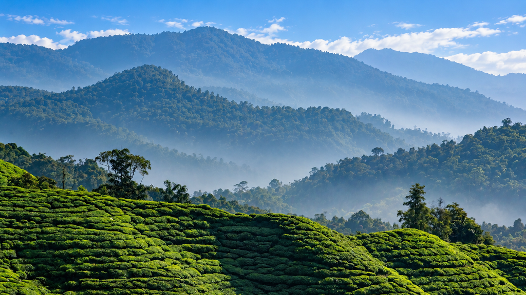 Top Station panoramic mountain view near Munnar

