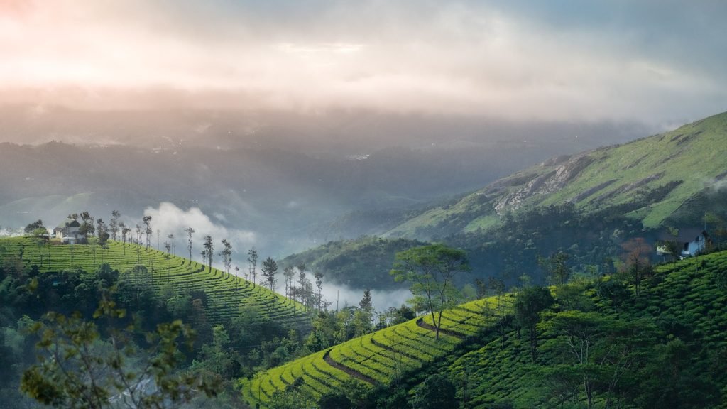misty green hills of Vagamon Kerala