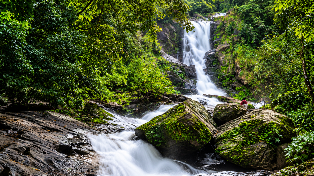 Mankayam Waterfalls surrounded by lush forest in Thiruvananthapuram Kerala
