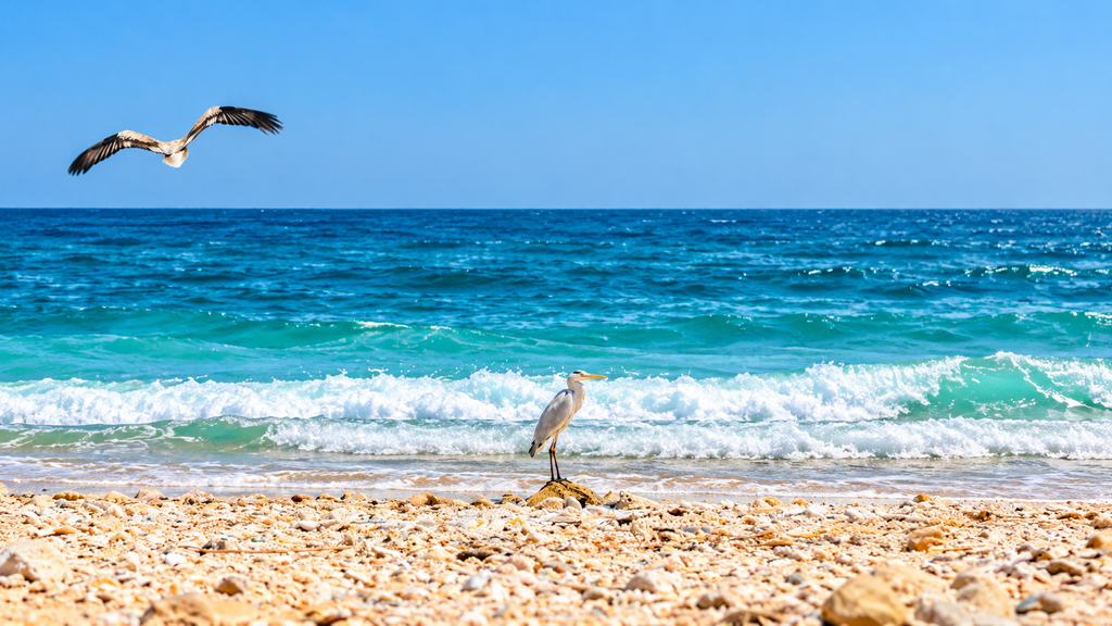 Al Ashkharah beach and Arabian Sea Oman