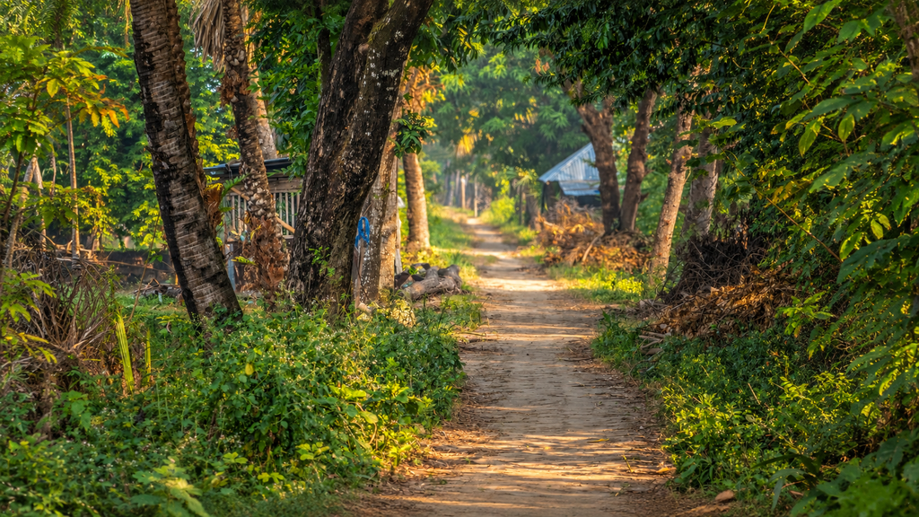 Green village pathway in Mawlynnong Meghalaya
