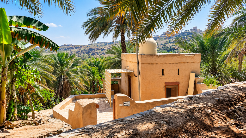 Misfat Al Abriyeen traditional village and date palms Oman
